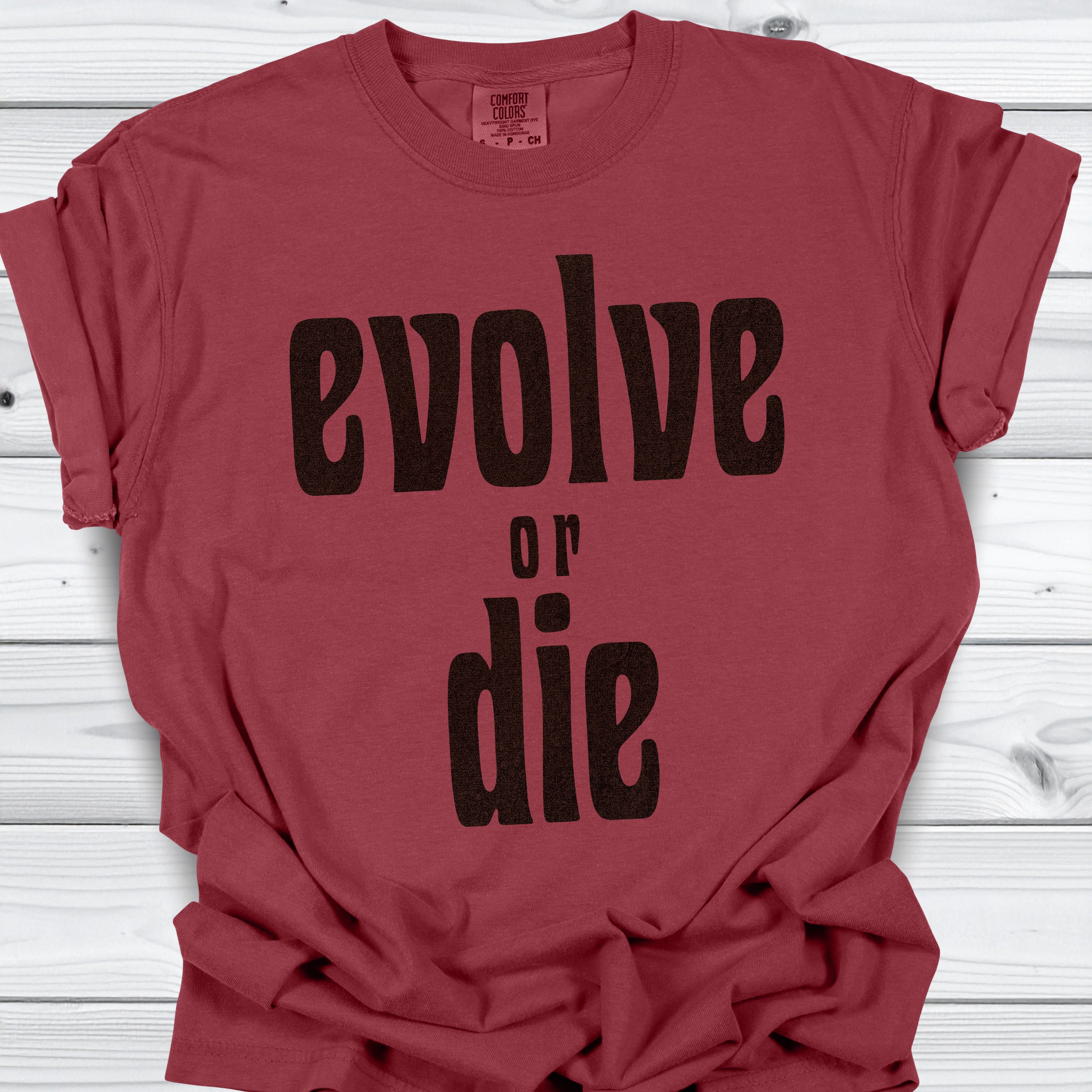 Evolve or Die – Vintage Statement Tee