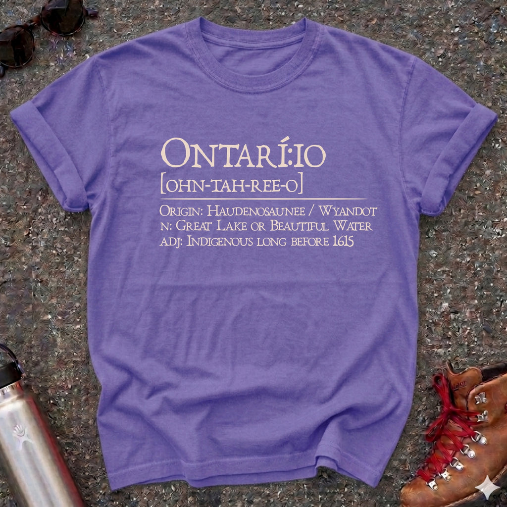 Lake Ontario Definition Shirt